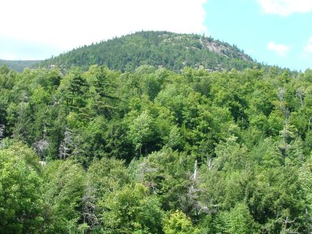 Whiteface2