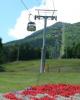 Whiteface4