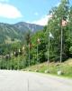 Whiteface5
