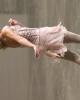 Joannie Rochette