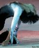Johnny Weir