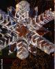 Winter Carnival - Karen's Photos