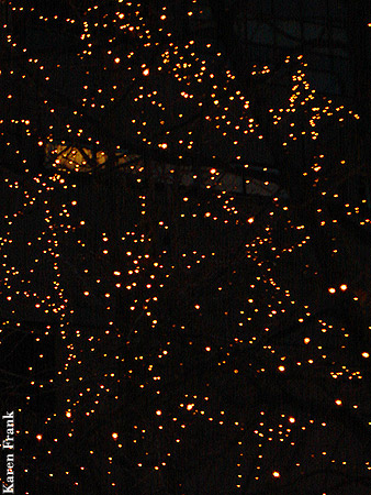 The lights...