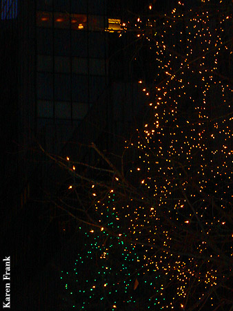 The lights...