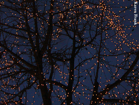 The lights