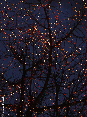 The lights...