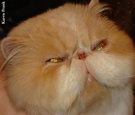Persian