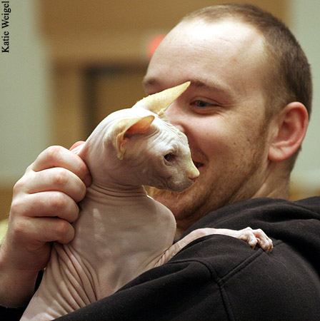 Sphynx