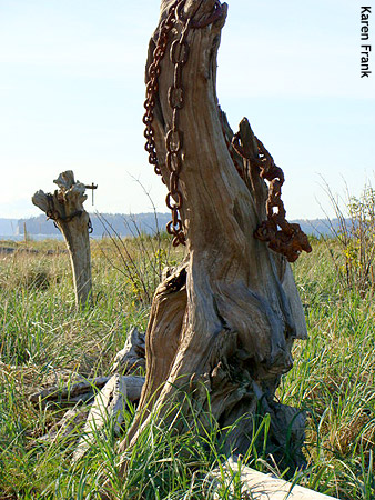 Jetty Island