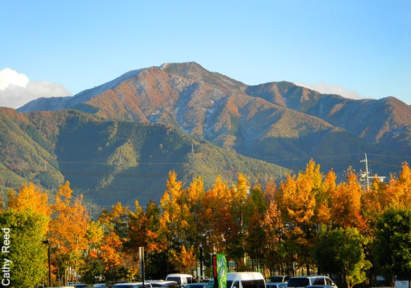 Autumn and mountains - perfect!
