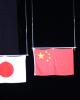 Junior Pairs - Flags are Raised