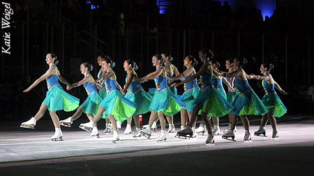 Capitol Steps Synchro Team