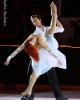 Brooke Frieling &amp; Lionel Rumi