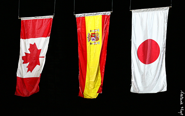 The Flags