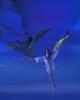 Theater On Ice