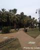 14OWG-BlogDay6-image_00011